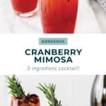 mimosa recipe