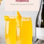 simple mimosa recipe