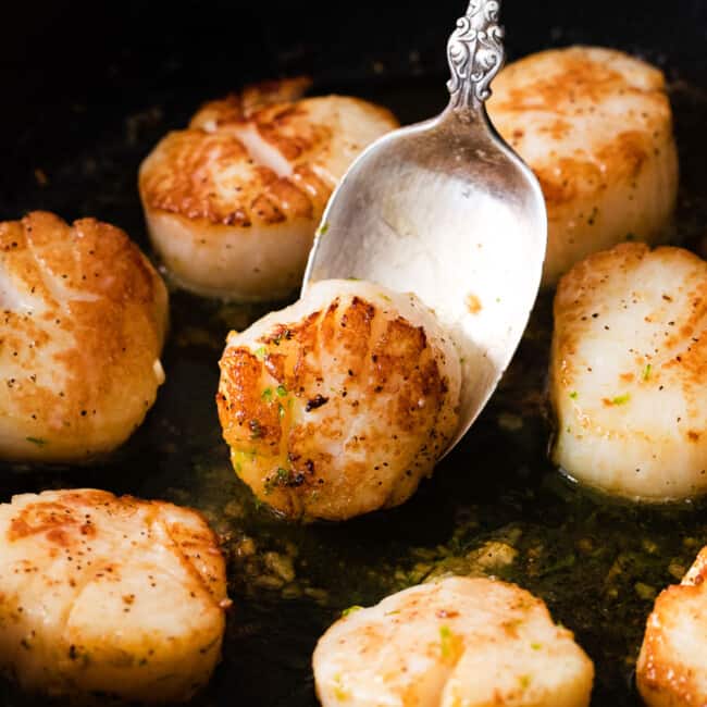 Delicious Pan Seared Scallops - Fit Foodie Finds