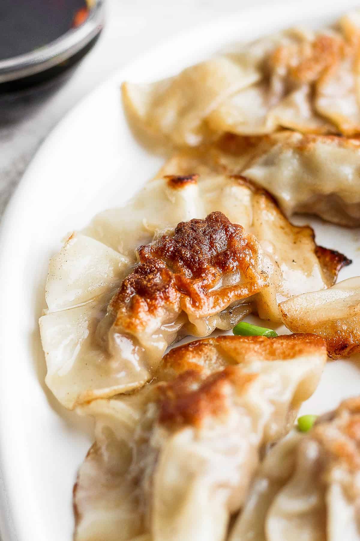 pan fried pork dumpling on a plate