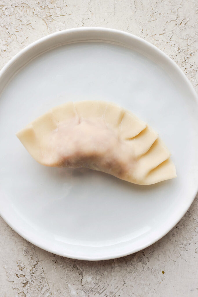 pork dumpling on a plate