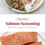 salmon seasoning