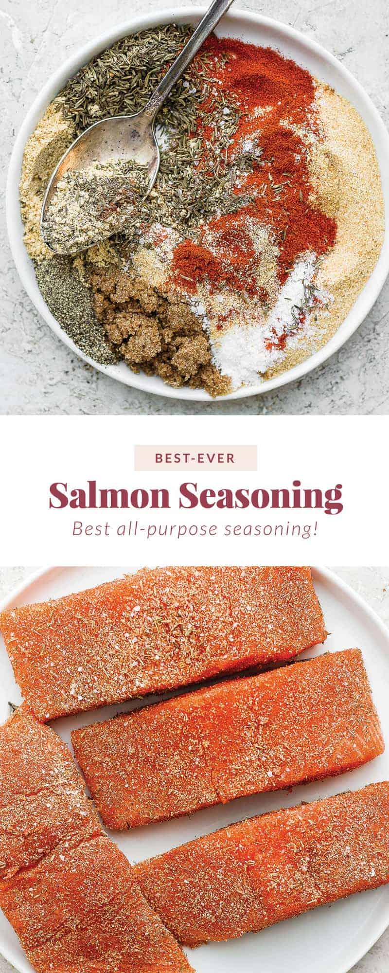 Salmon Seasoning Recipe Fit Foodie Finds