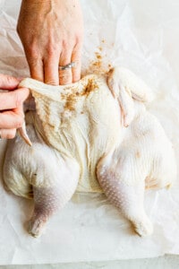 rubbing chicken.