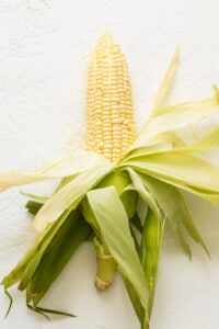 Corn on the cob on a white background.