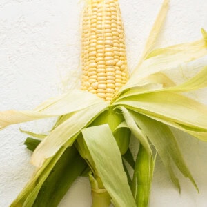 Corn on the cob on a white background.