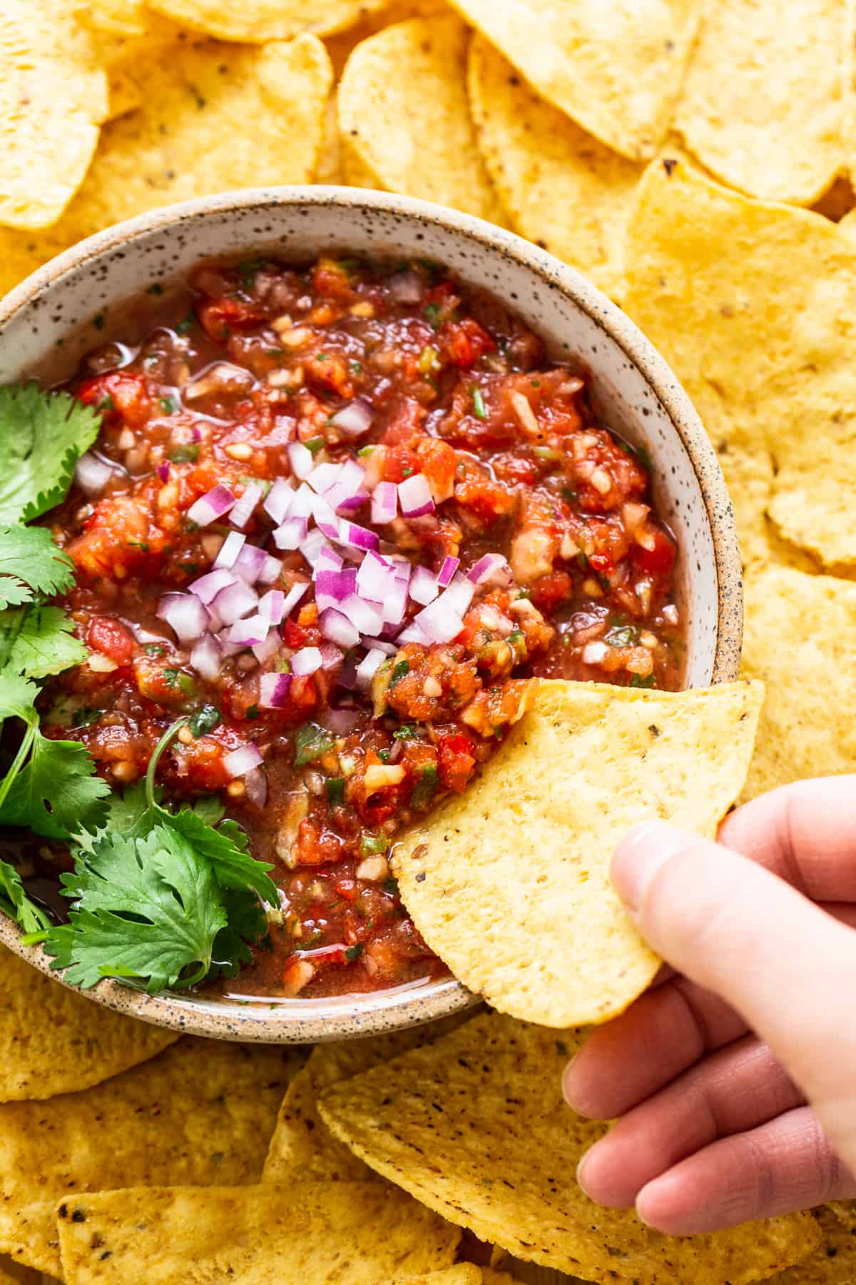 hand scooping salsa with chip.