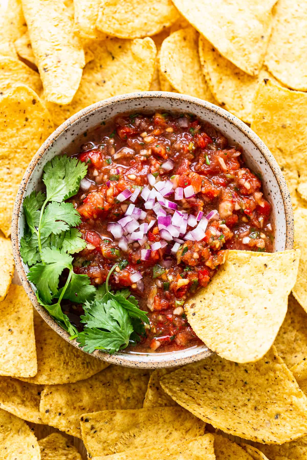 salsa in bowl with chips. 