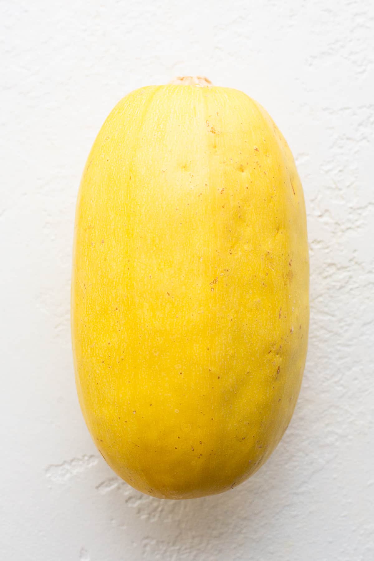 squash on countertop.