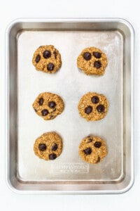 Chocolate chip cookies on a baking sheet.