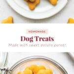 Homemade dog treats made with puree.