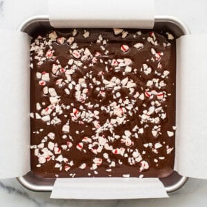Freezer fudge topped with peppermints.