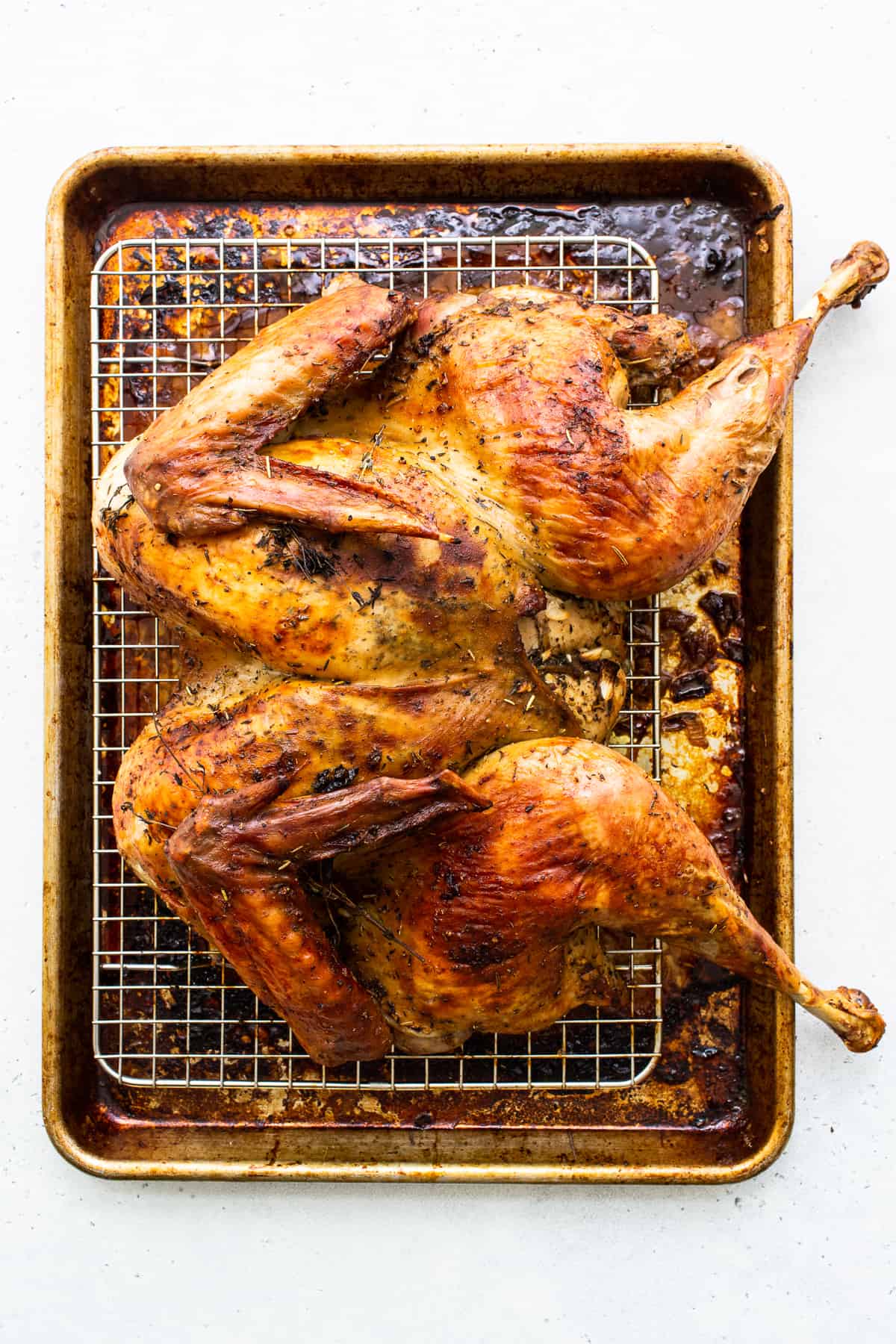 turkey on baking sheet.