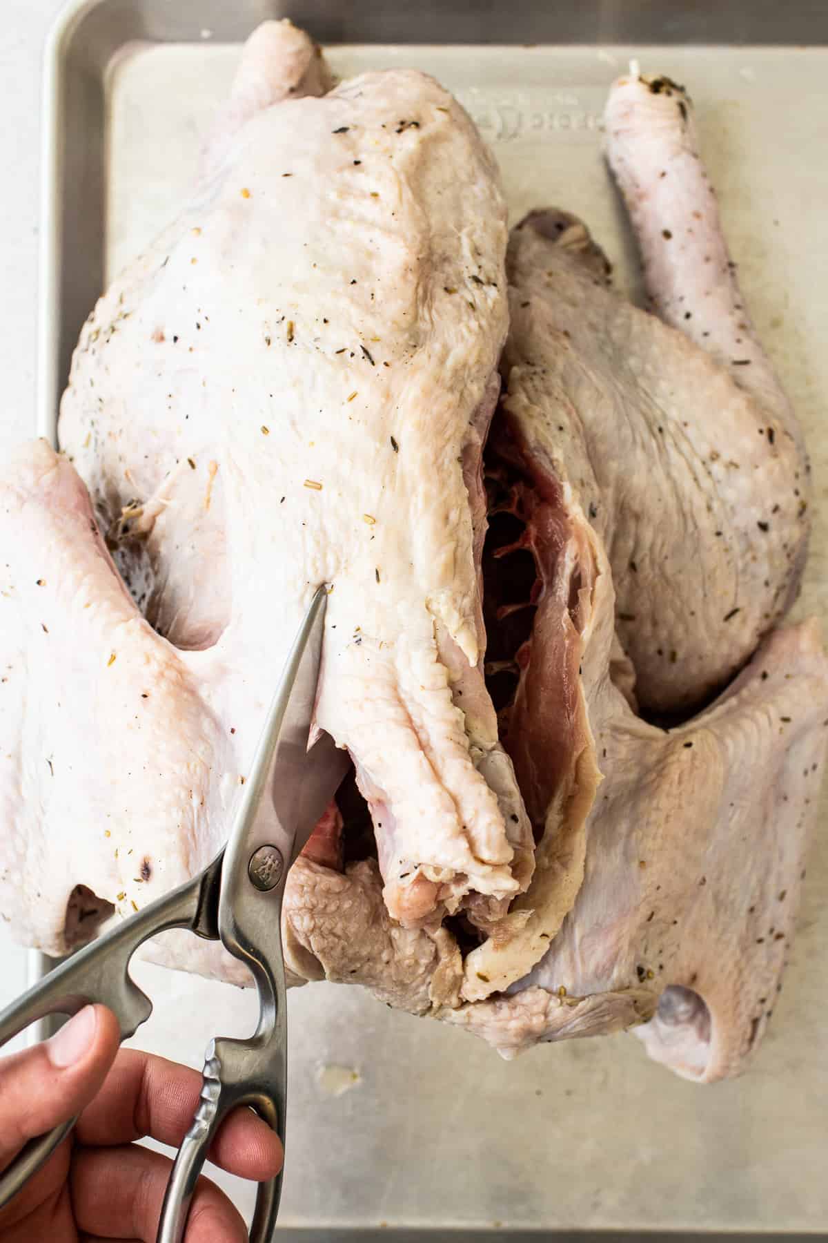 Spatchcocking a raw turkey with a scissors.
