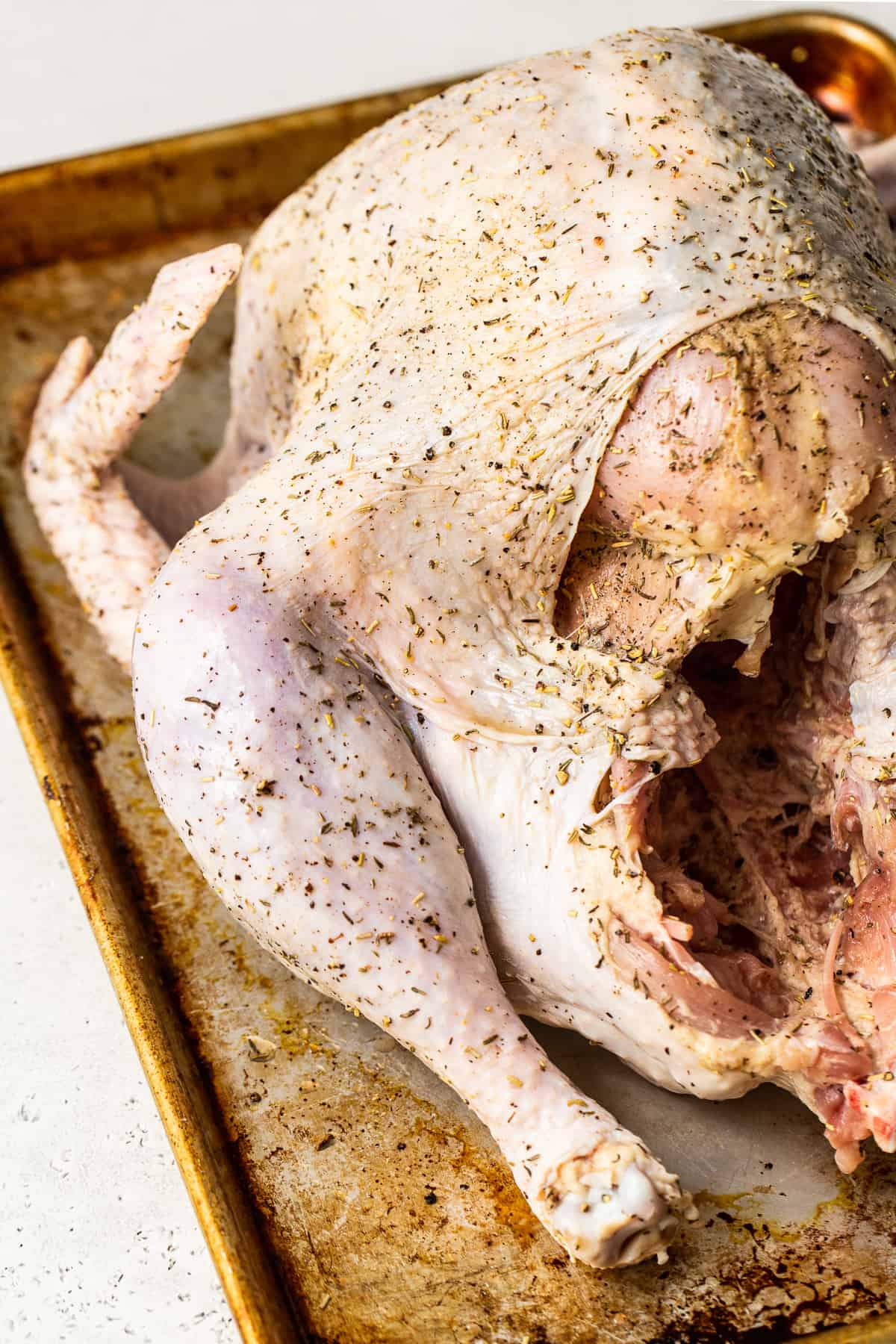 dry brine turkey on baking sheet.
