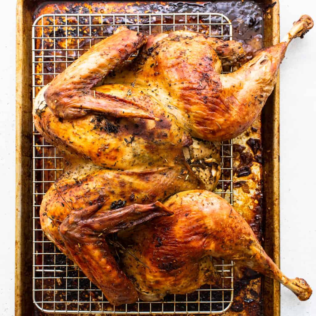 dry brine turkey on rack.