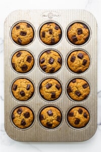 Chocolate chip muffins in a muffin tin.