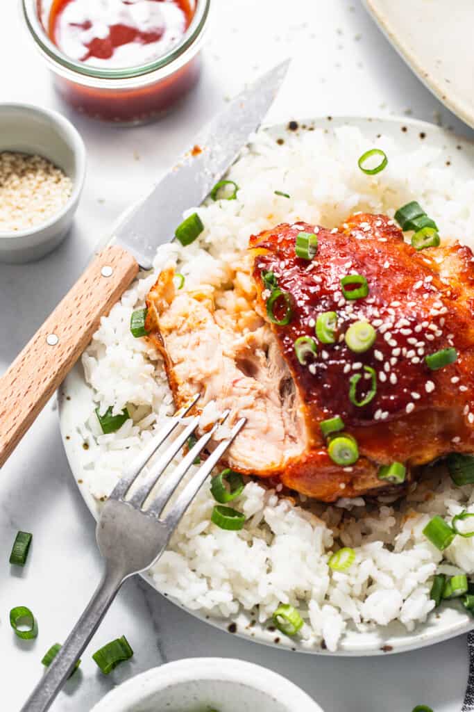 Chicken thigh on a plate with rice and a fork.