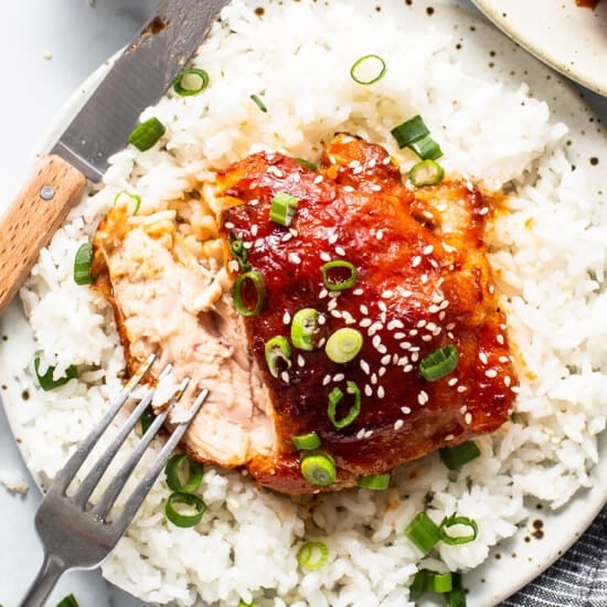 chicken thigh with rice on a plate.