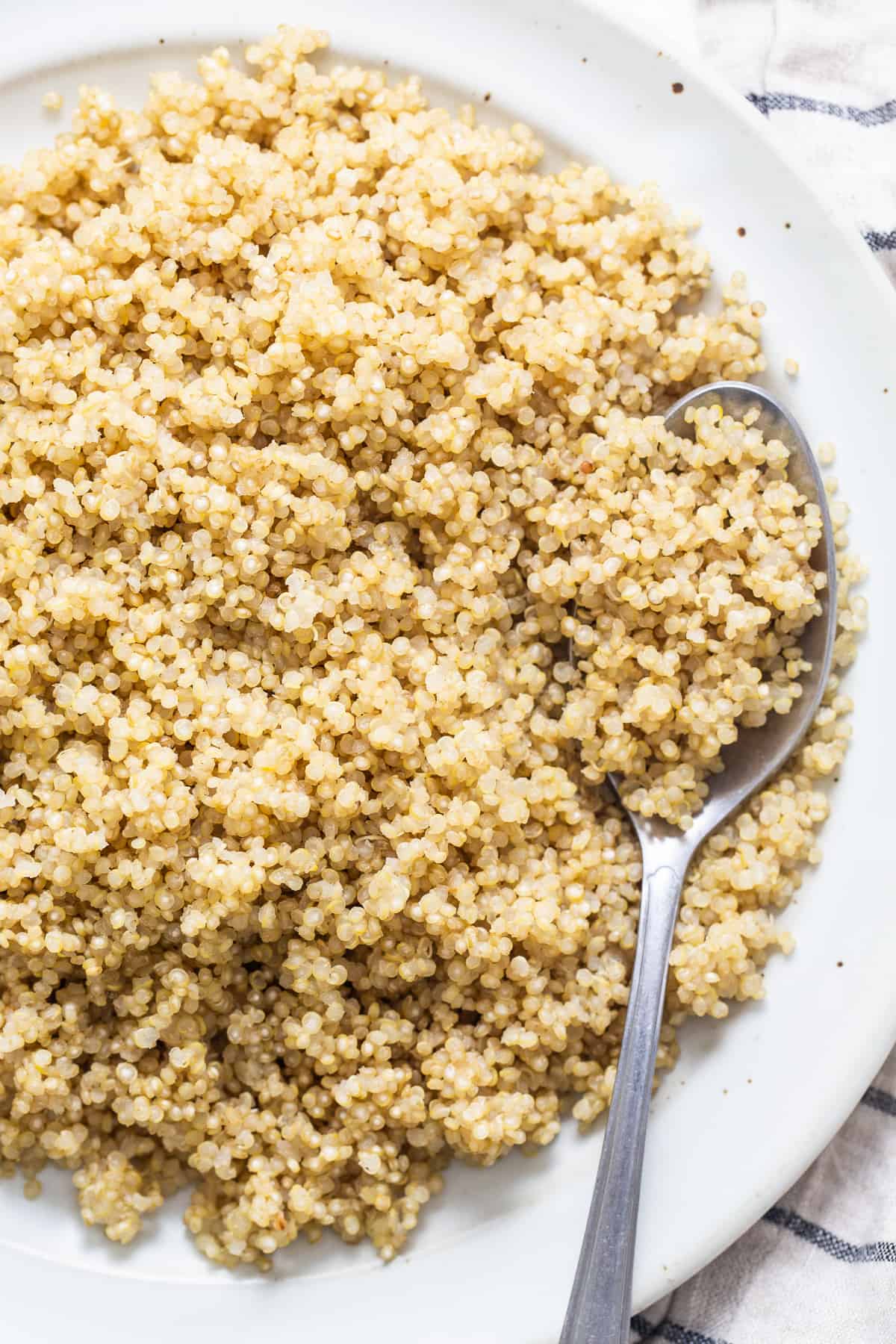 cooked quinoa on plate.