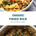 instant pot fried rice pin.