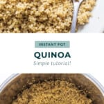Quinoa on plate.