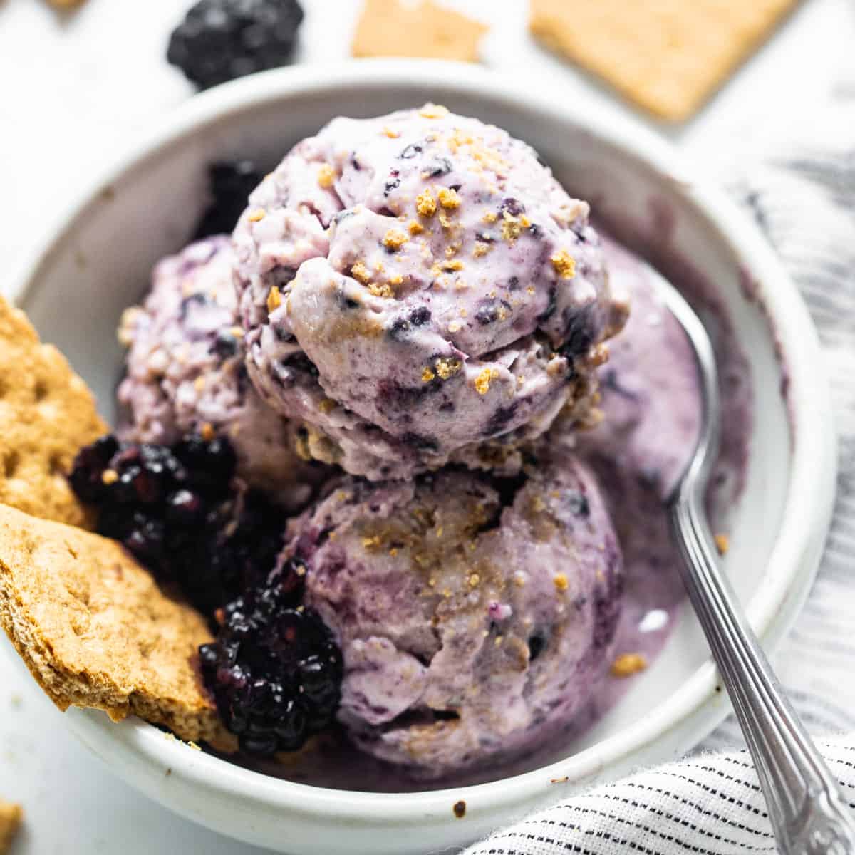 Berries Cottage Cheese Ice Cream - Healthy Fitness Meals