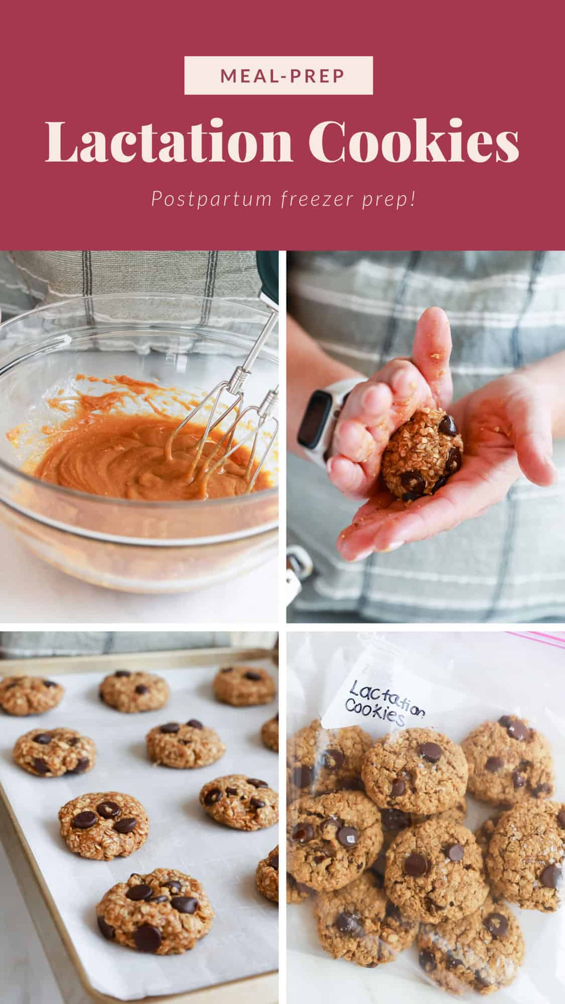 A picture of a recipe for lactation cookies.