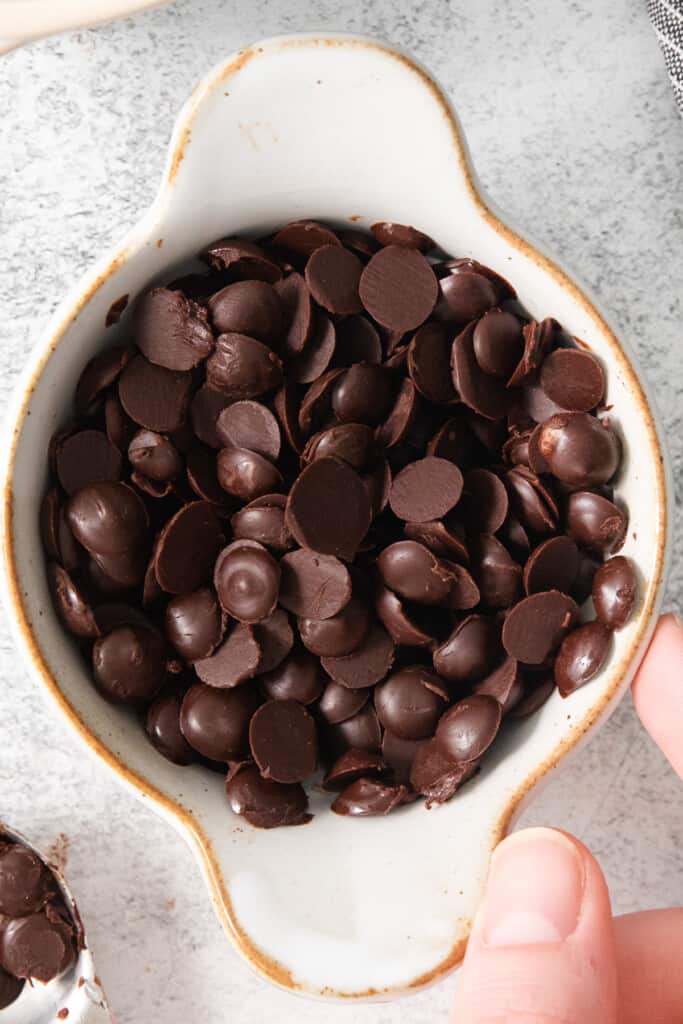 A person holding a bowl of chocolate chips.