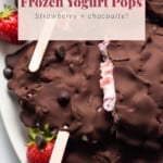 Protein frozen yogurt pops with strawberries and chocolate.