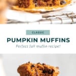 Classic pumpkin muffins with chocolate chips.