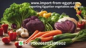 نفرتيتي-شركة-تصدير-فواكة-وخضروات-مصرية