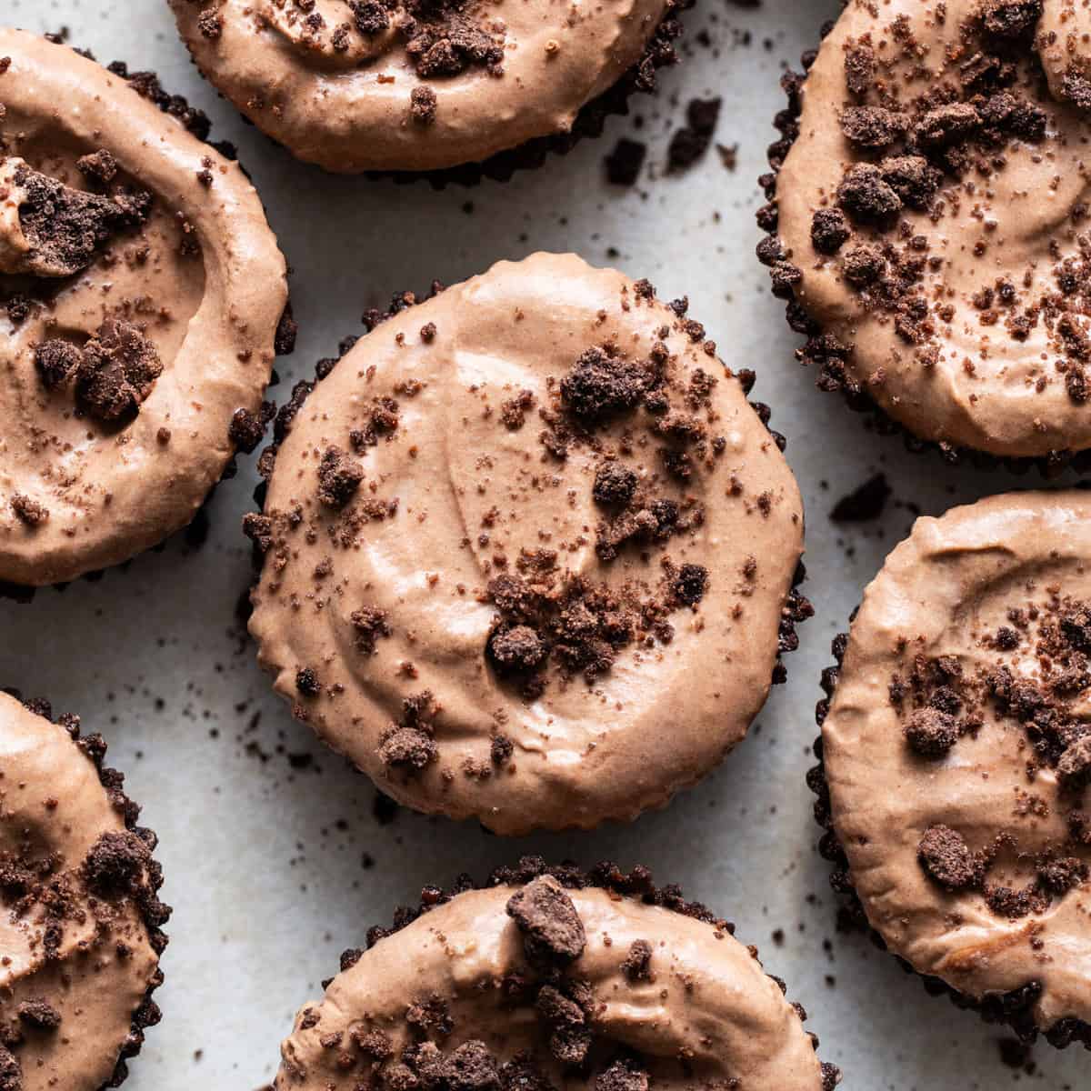 Chocolate cupcakes with chocolate frosting and chocolate chips.