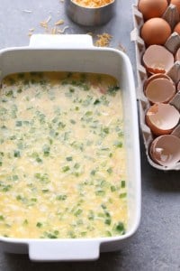 A Denver omelette with green onions.