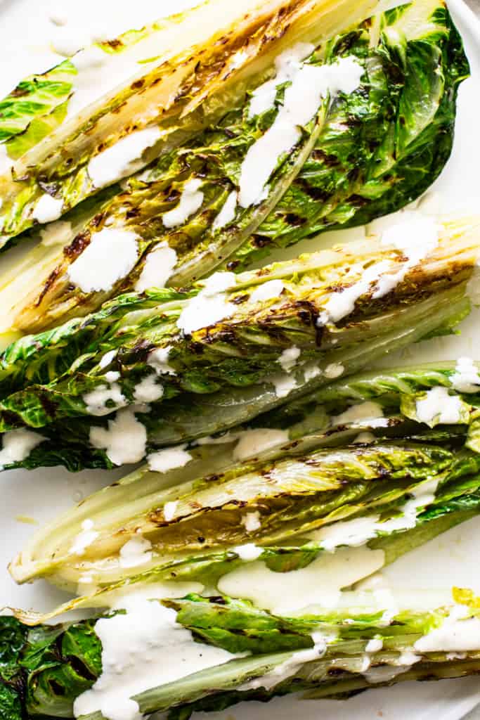 Grilled romaine lettuce with a drizzle of creamy dressing on a white surface.