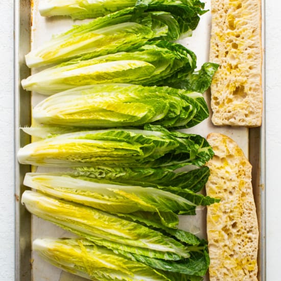 Fresh heads of romaine lettuce and slices of bread arranged on a baking tray.