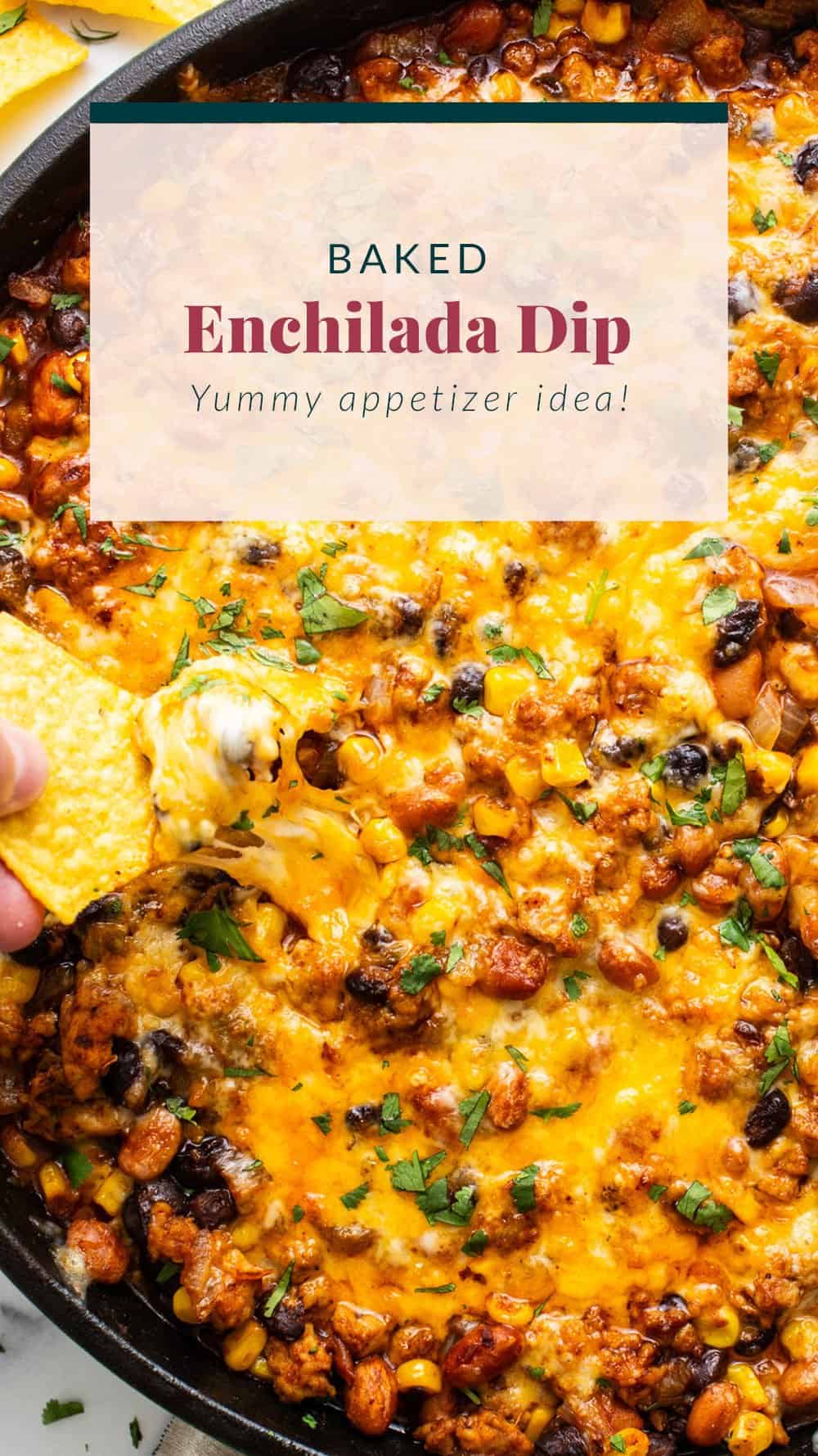 Healthy Enchilada Dip - Fit Foodie Finds