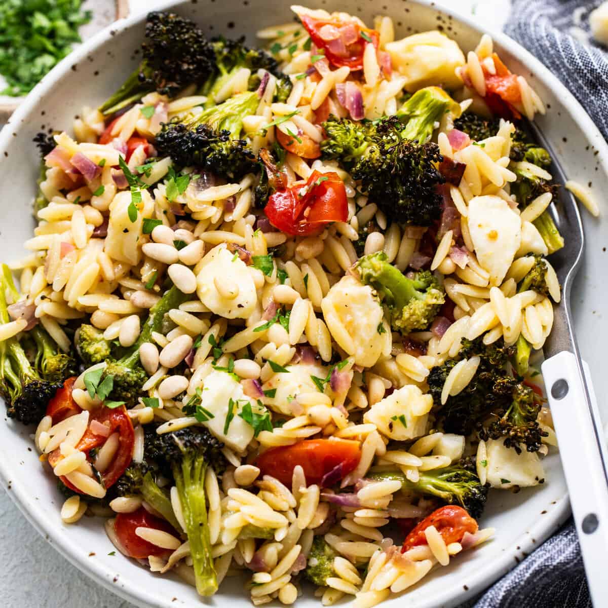 Orzo Pasta Salad with Roasted Veggies