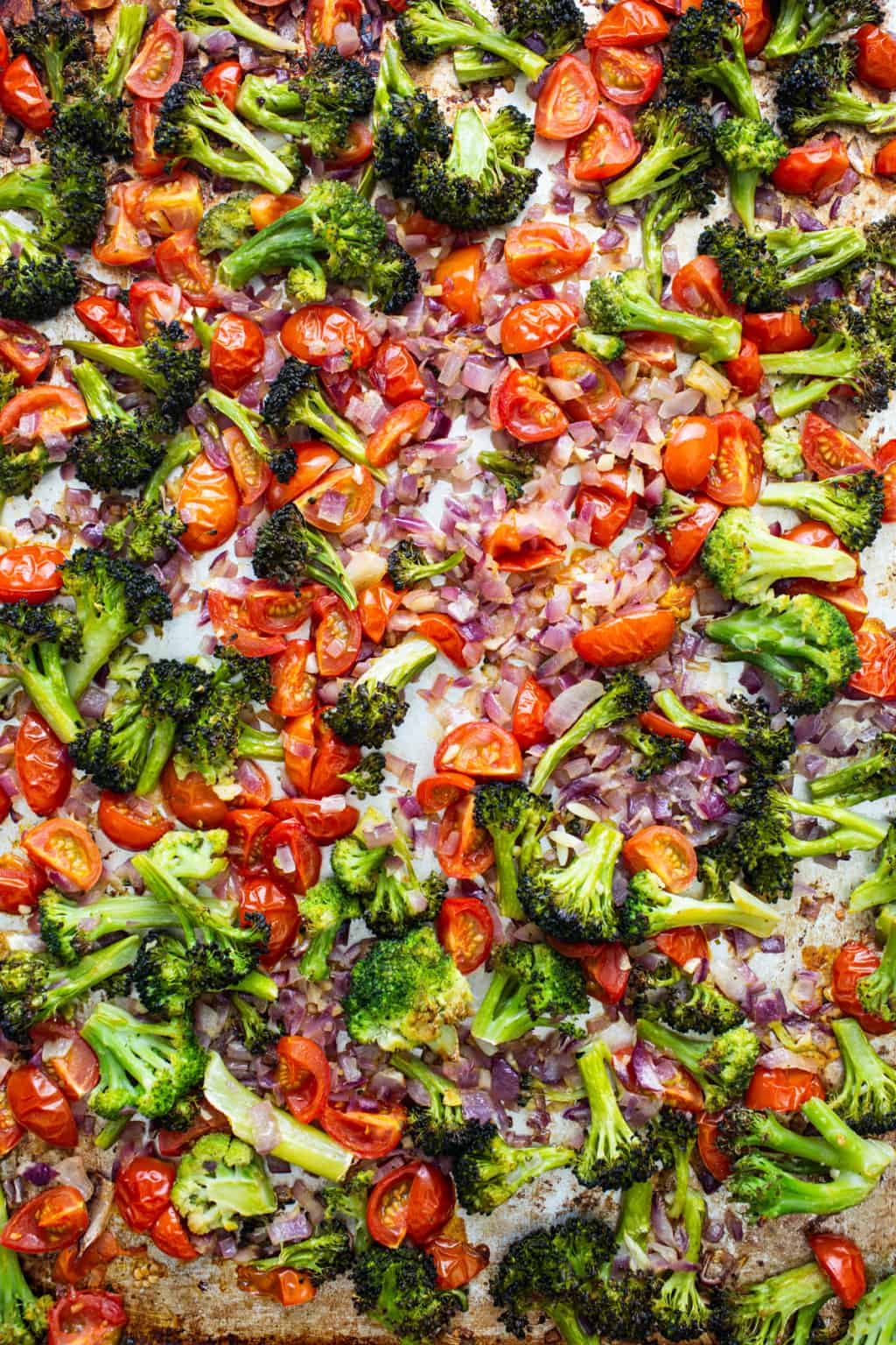 orzo-pasta-salad-with-roasted-veggies-fit-foodie-finds