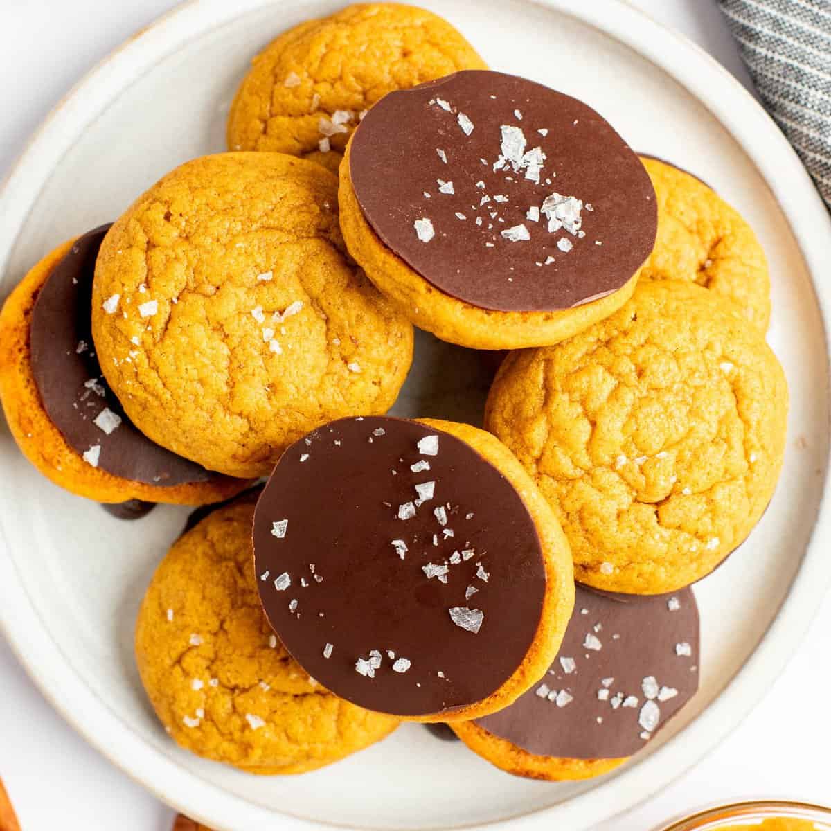 Chocolate Dipped Pumpkin Cookies