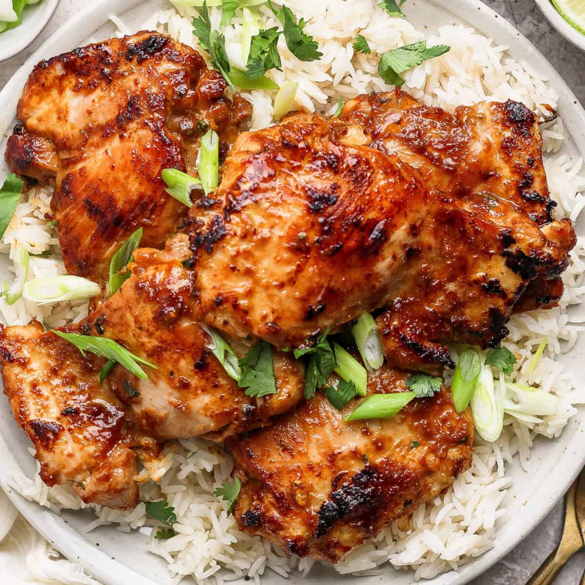 A plate with grilled chicken thighs garnished with sliced green onions and cilantro, served over a bed of white rice.