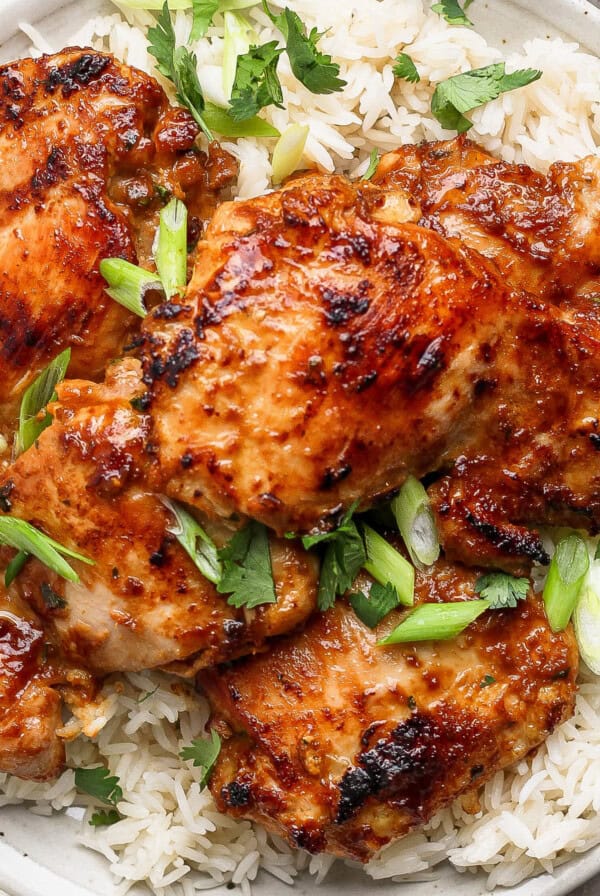 A plate with grilled chicken thighs garnished with sliced green onions and cilantro, served over a bed of white rice.