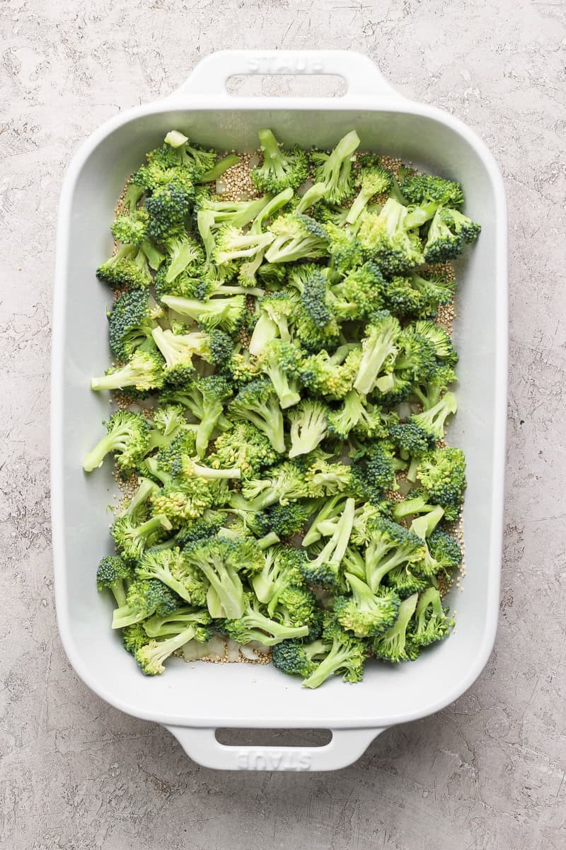 Chopped broccoli evenly spread in a white rectangular baking dish on a textured gray surface.