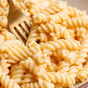 Close-up of a fork in a bowl of creamy, spiral macaroni and cheese.