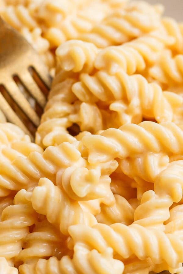 Close-up of a fork in a bowl of creamy, spiral macaroni and cheese.