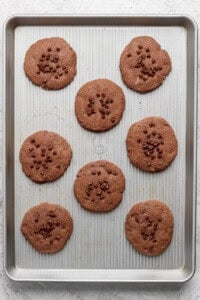 A baking sheet with eight large chocolate cookies, some topped with chocolate chips.