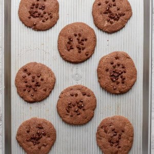 A baking sheet with eight large chocolate cookies, some topped with chocolate chips.