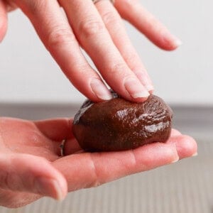 A person shaping a ball of dark brown dough in their hands against a neutral background.