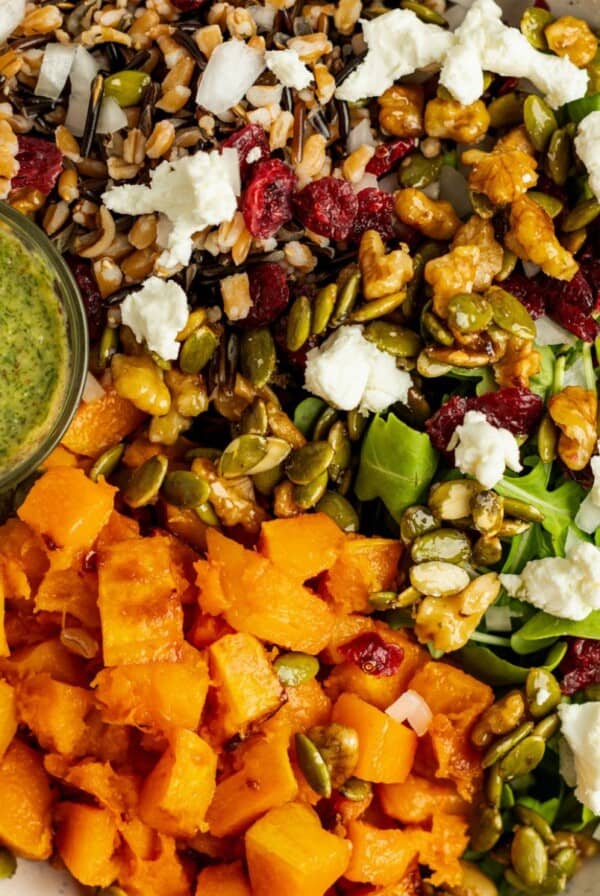 A bowl with spinach, wild rice, roasted butternut squash, walnuts, pepitas, cranberries, and feta cheese, served with a small container of pesto dressing.