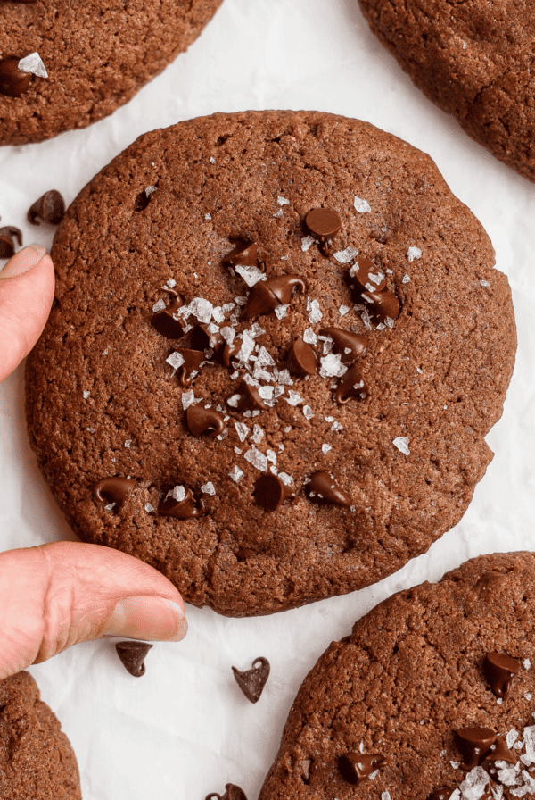 A hand holds a large chocolate cookie sprinkled with sea salt and chocolate chips on a white background.